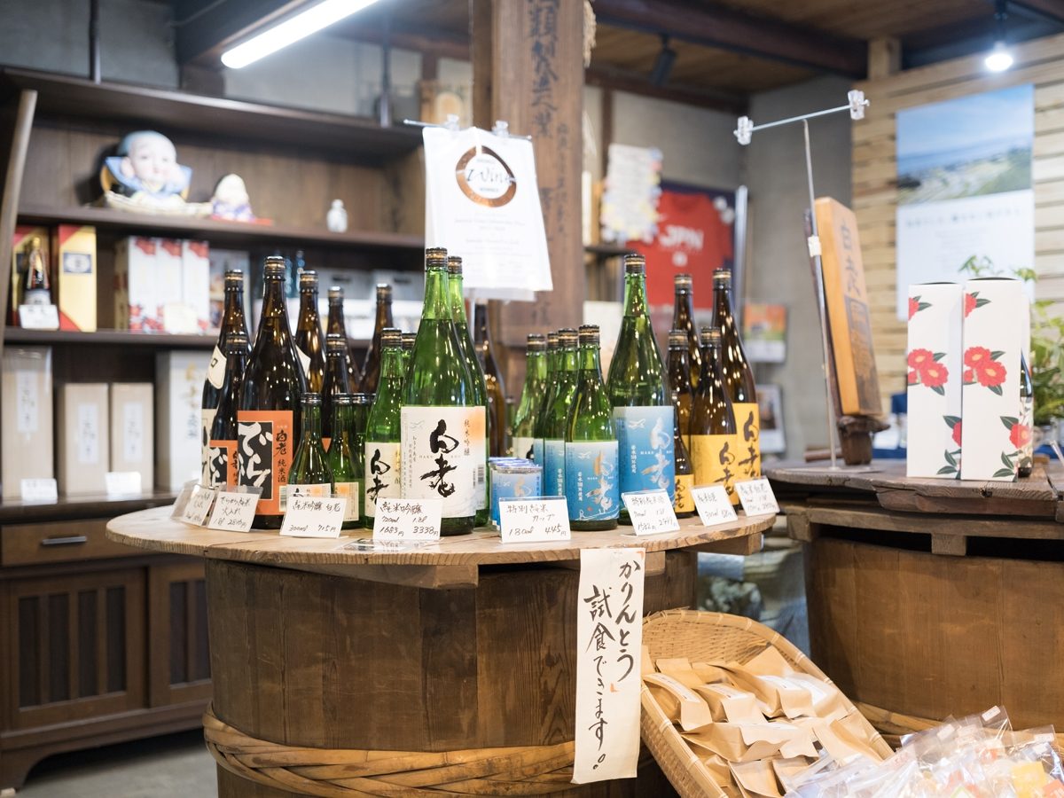 Saijo Sake Tasting