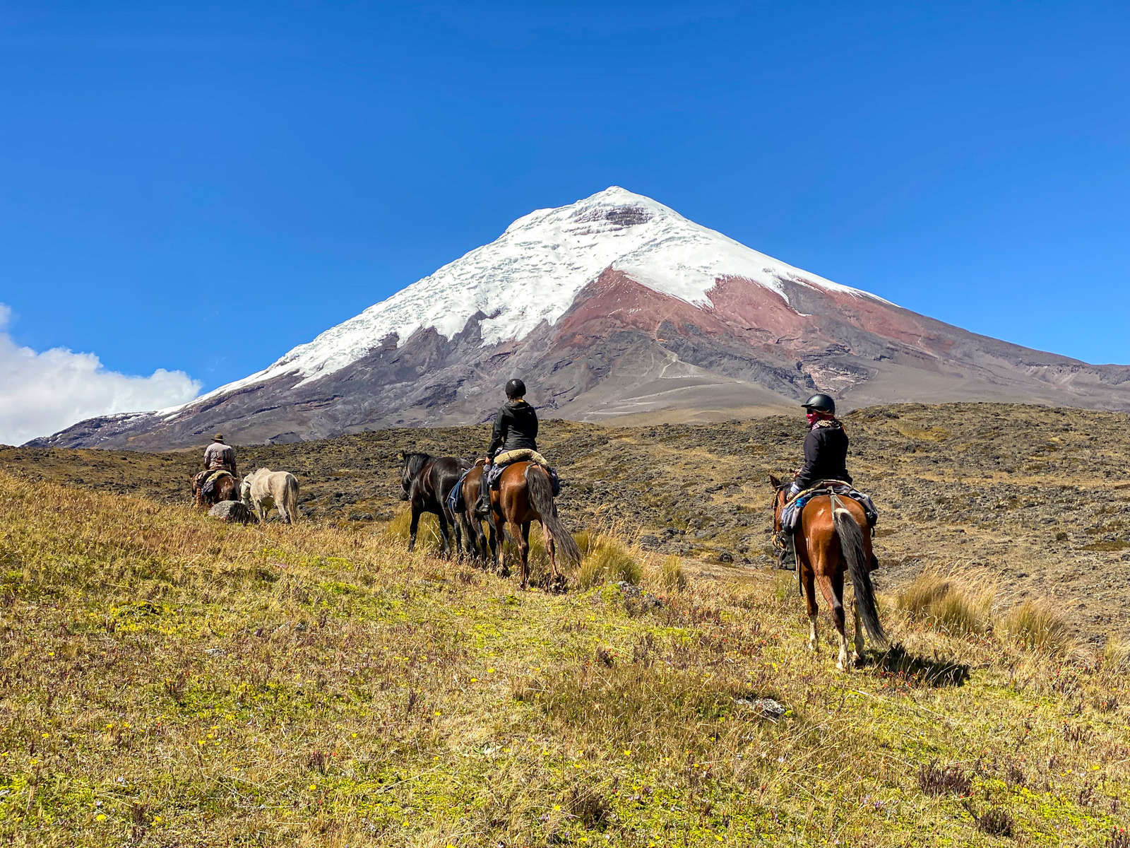 Cotopaxi National Park Horseback Riding