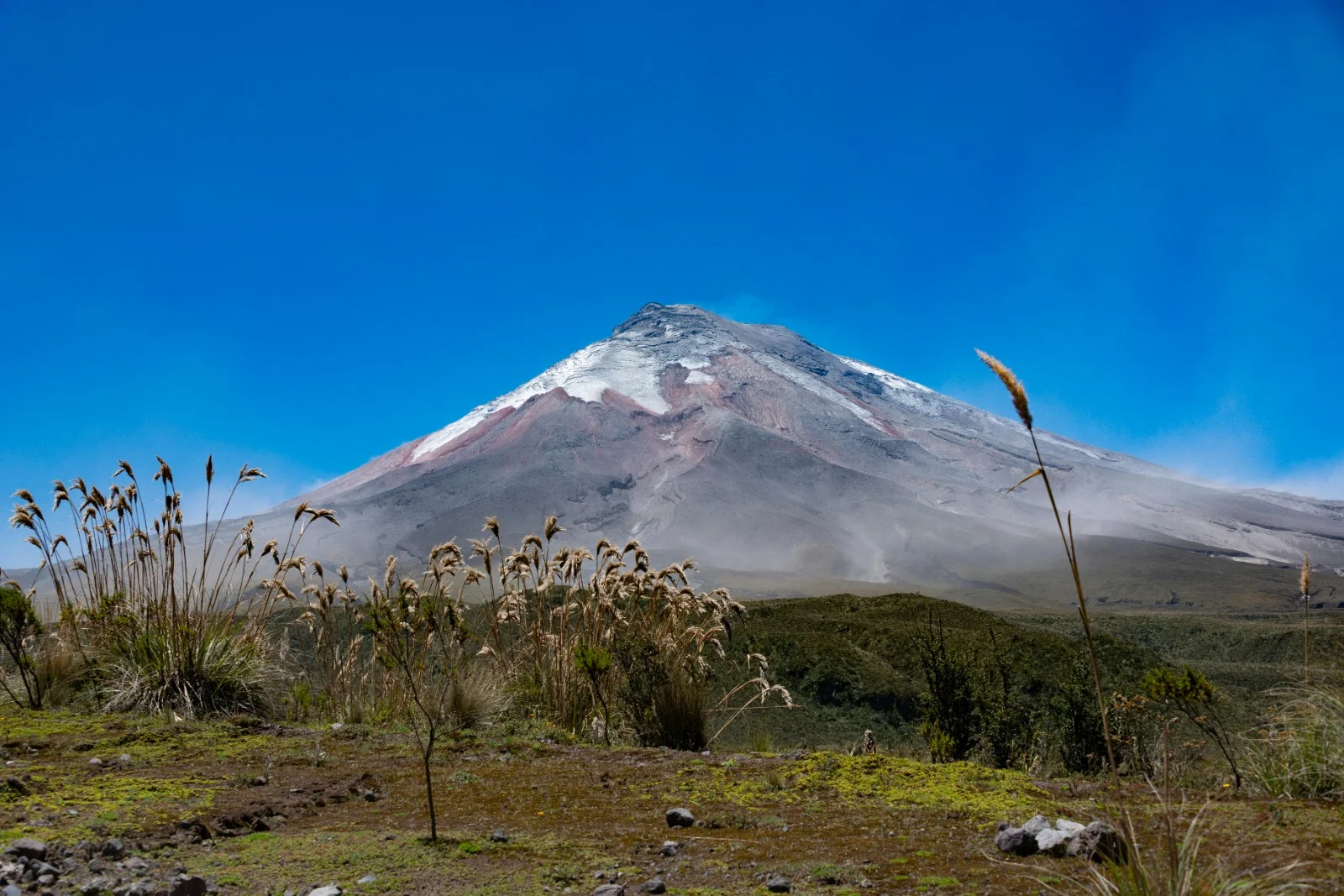 Paramo Grasslands Ridge