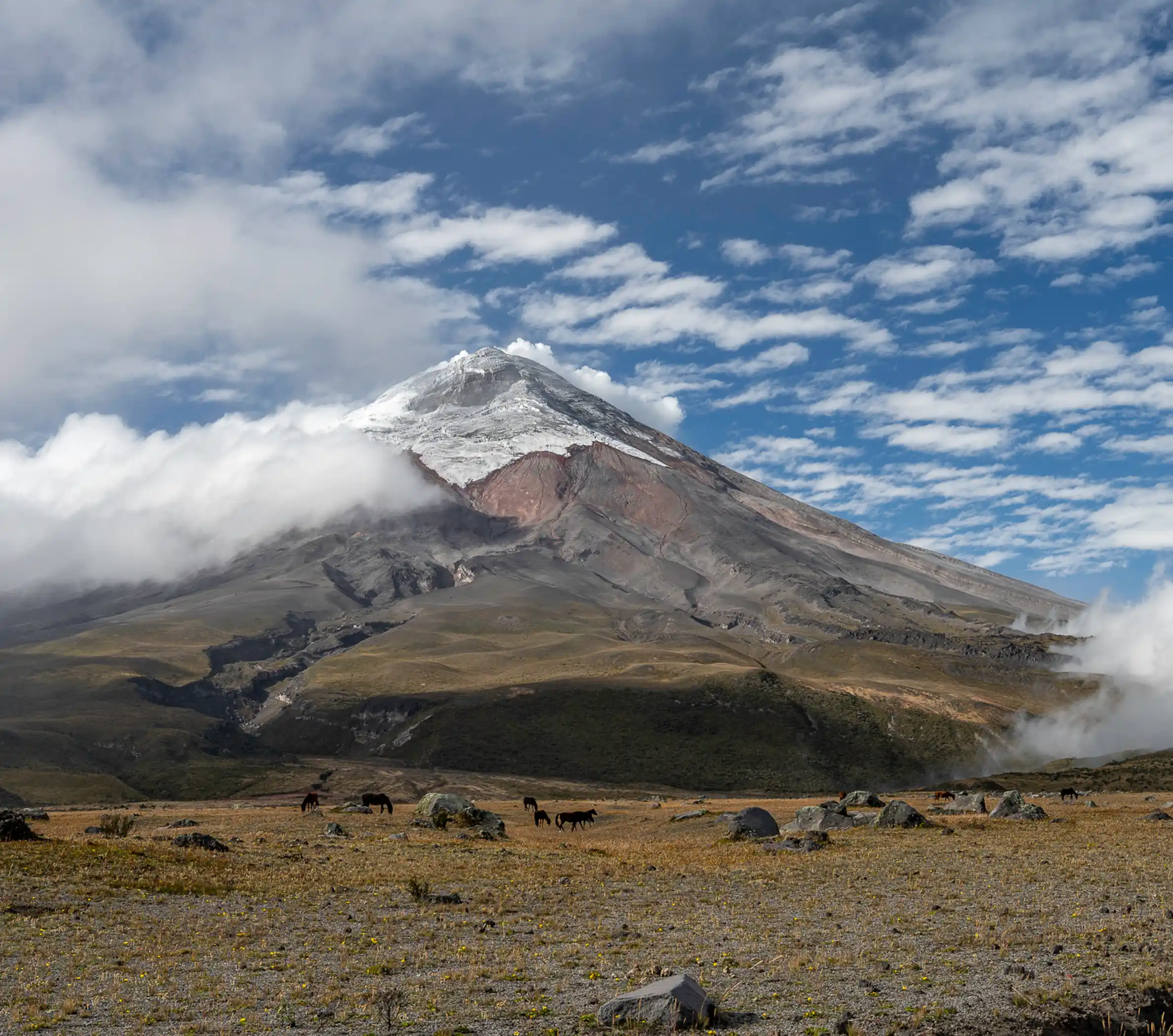 Northern Volcanic Base