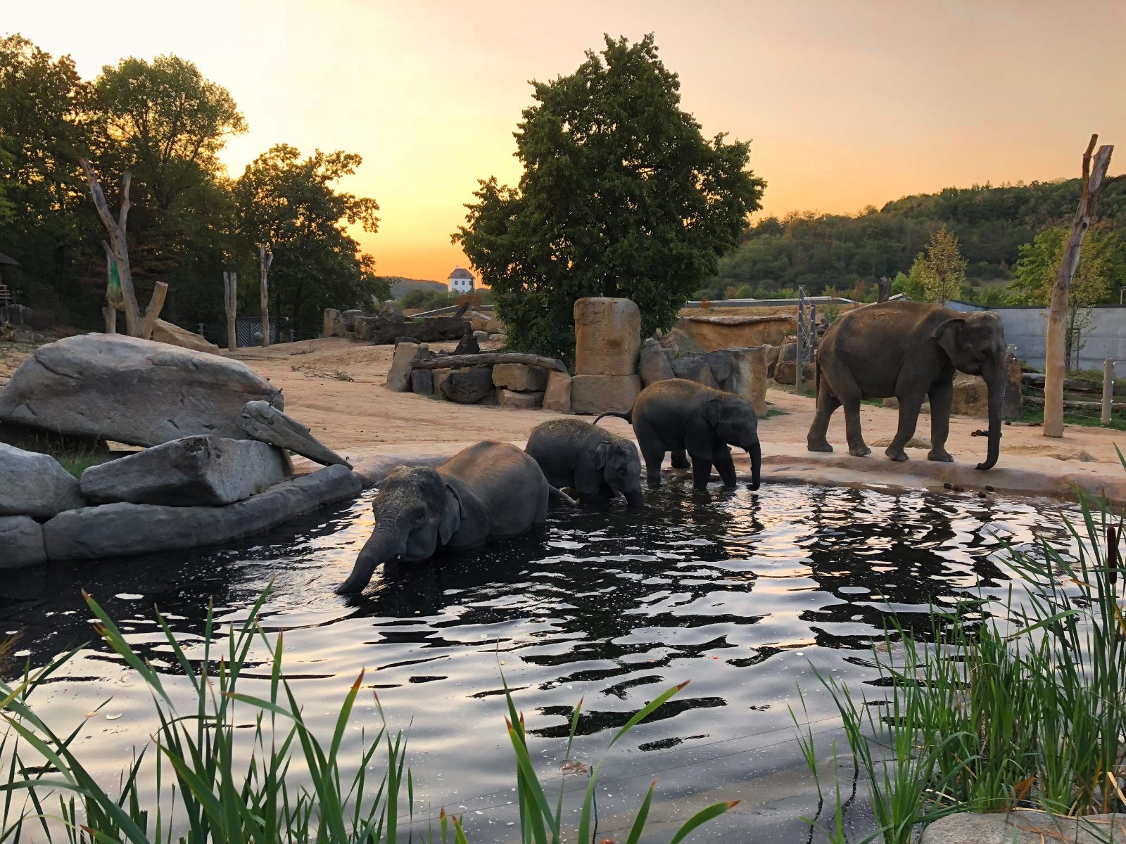 Elephant Valley Observation Deck