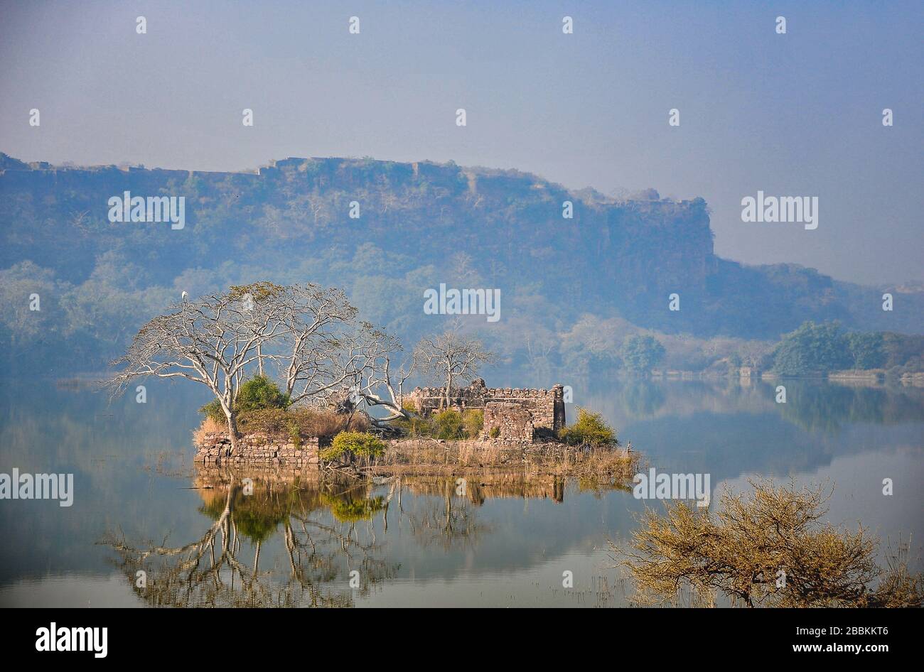 Padam Talao & Jogi Mahal Stop