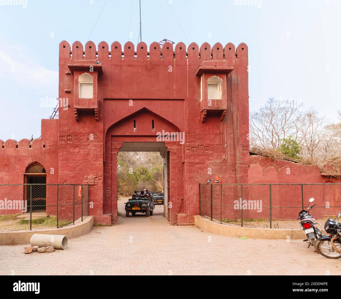 Arrive at Safari Gate