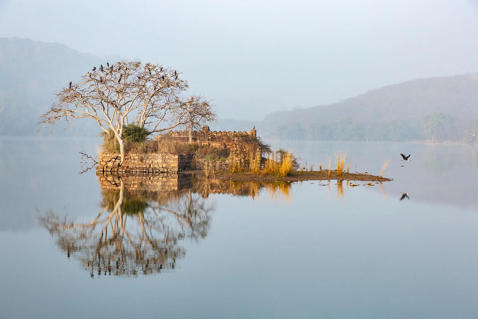 Rajbagh Ruins