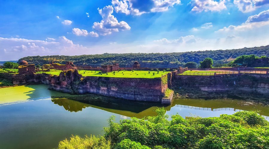 Wildlife and Fort Viewing