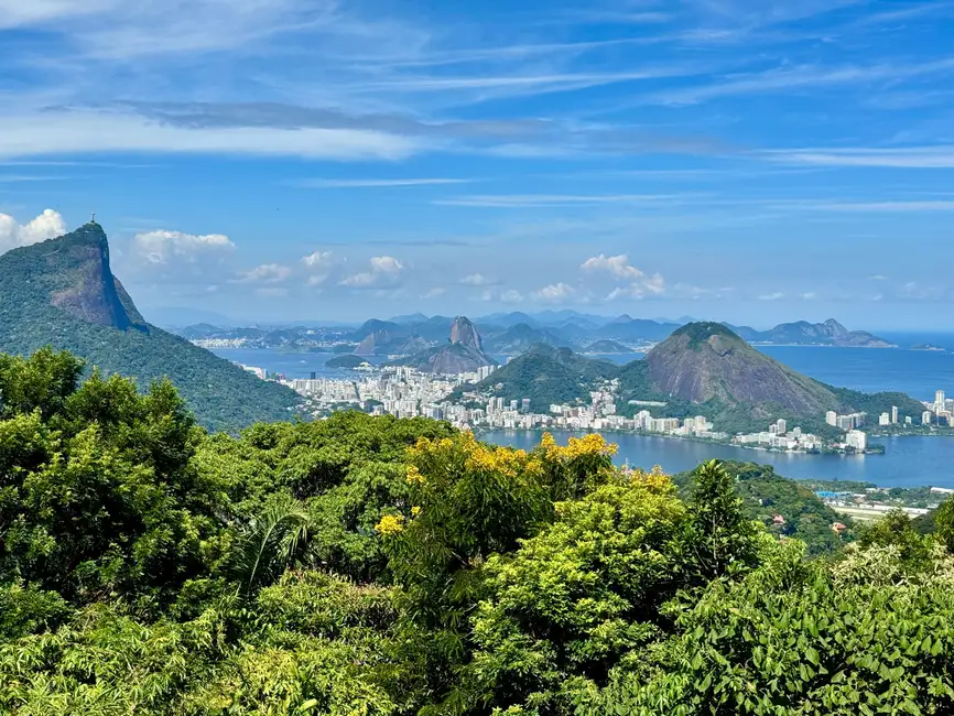 Tijuca Forest Canopy