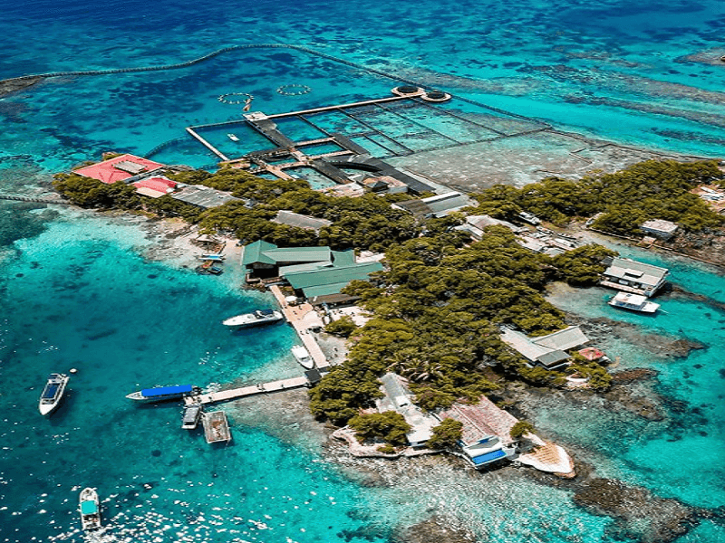 Oceanario San Martín de Pajarales