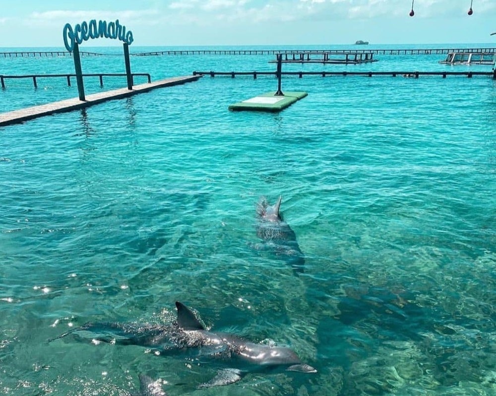 Oceanario San Martín de Pajarales