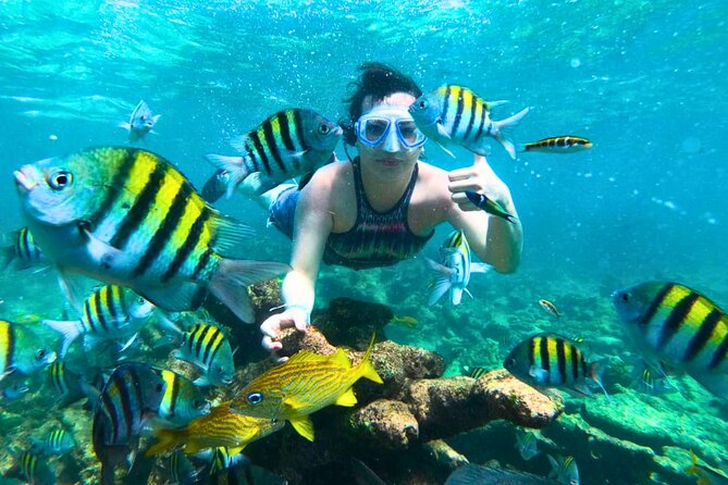 Rosario Islands Tours