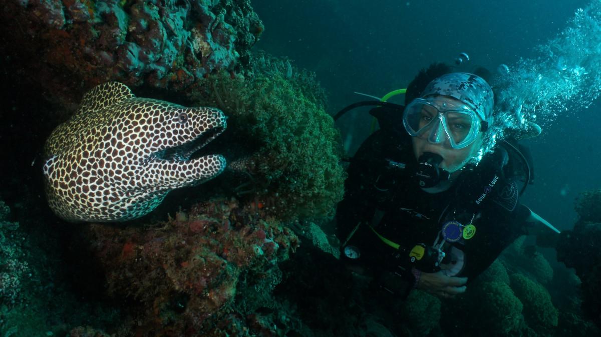 Deep reef or second island