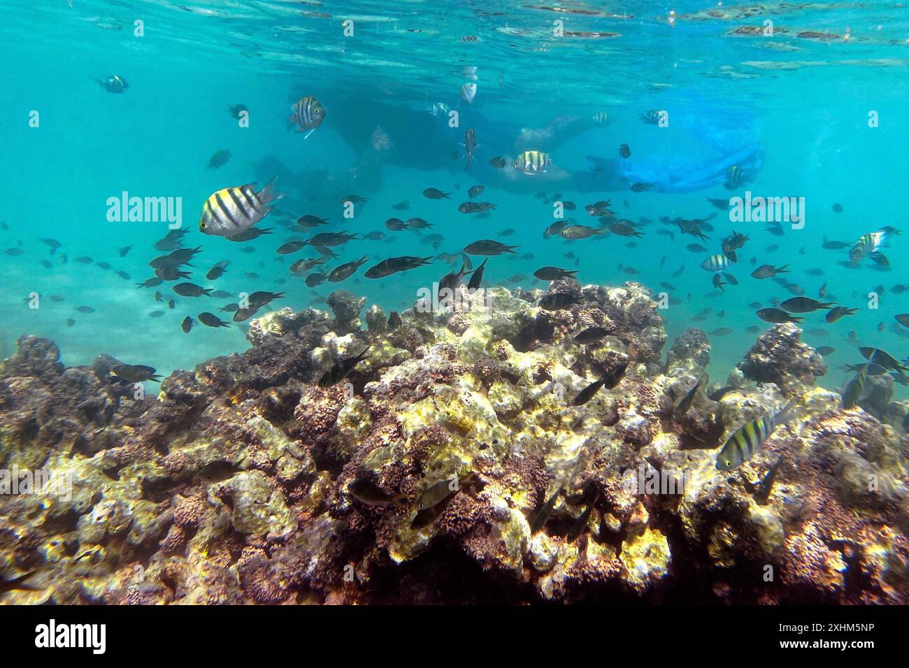 First snorkel stop