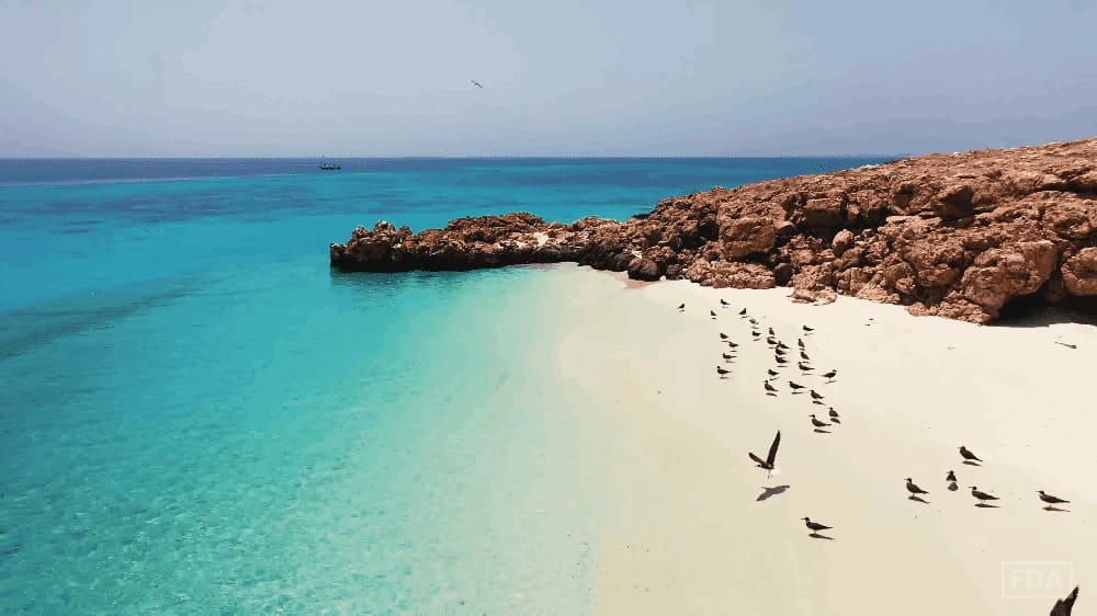 Seabird nesting islets