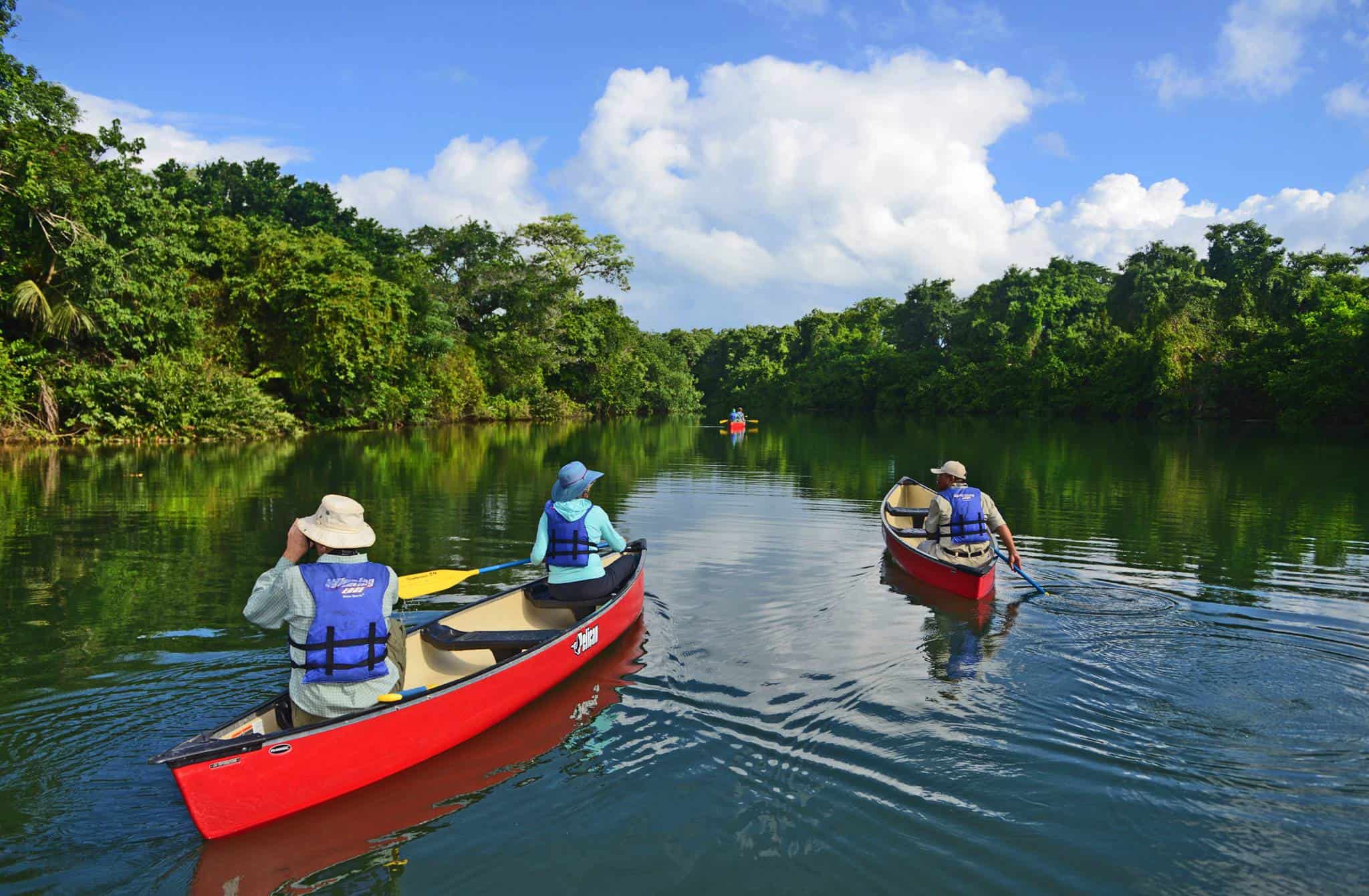 Jungle River Corridor