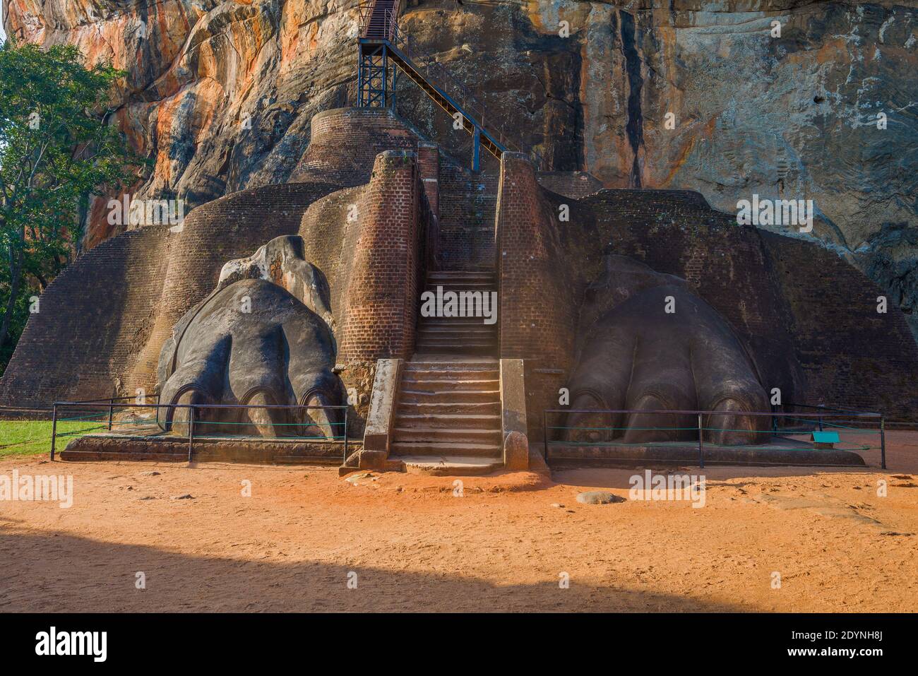 Lion's Paw Terrace