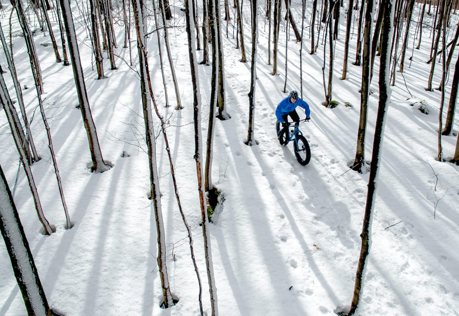 Fat Bike Rental Montreal