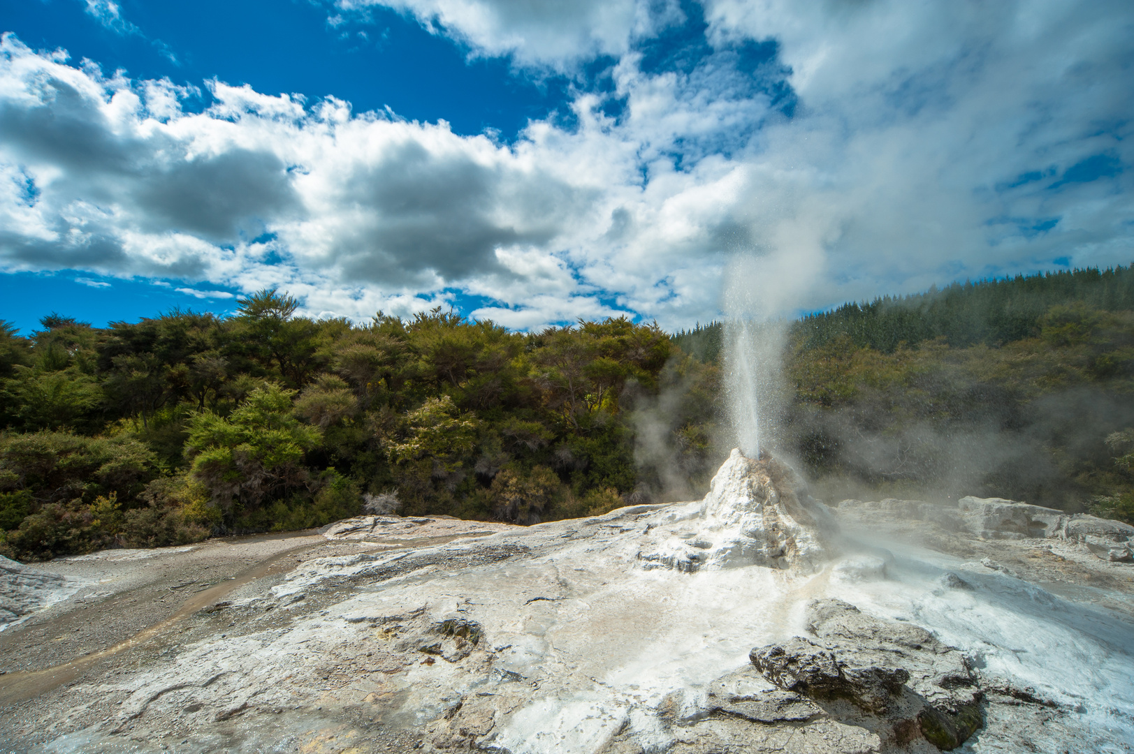 Erupção do Gêiser Lady Knox