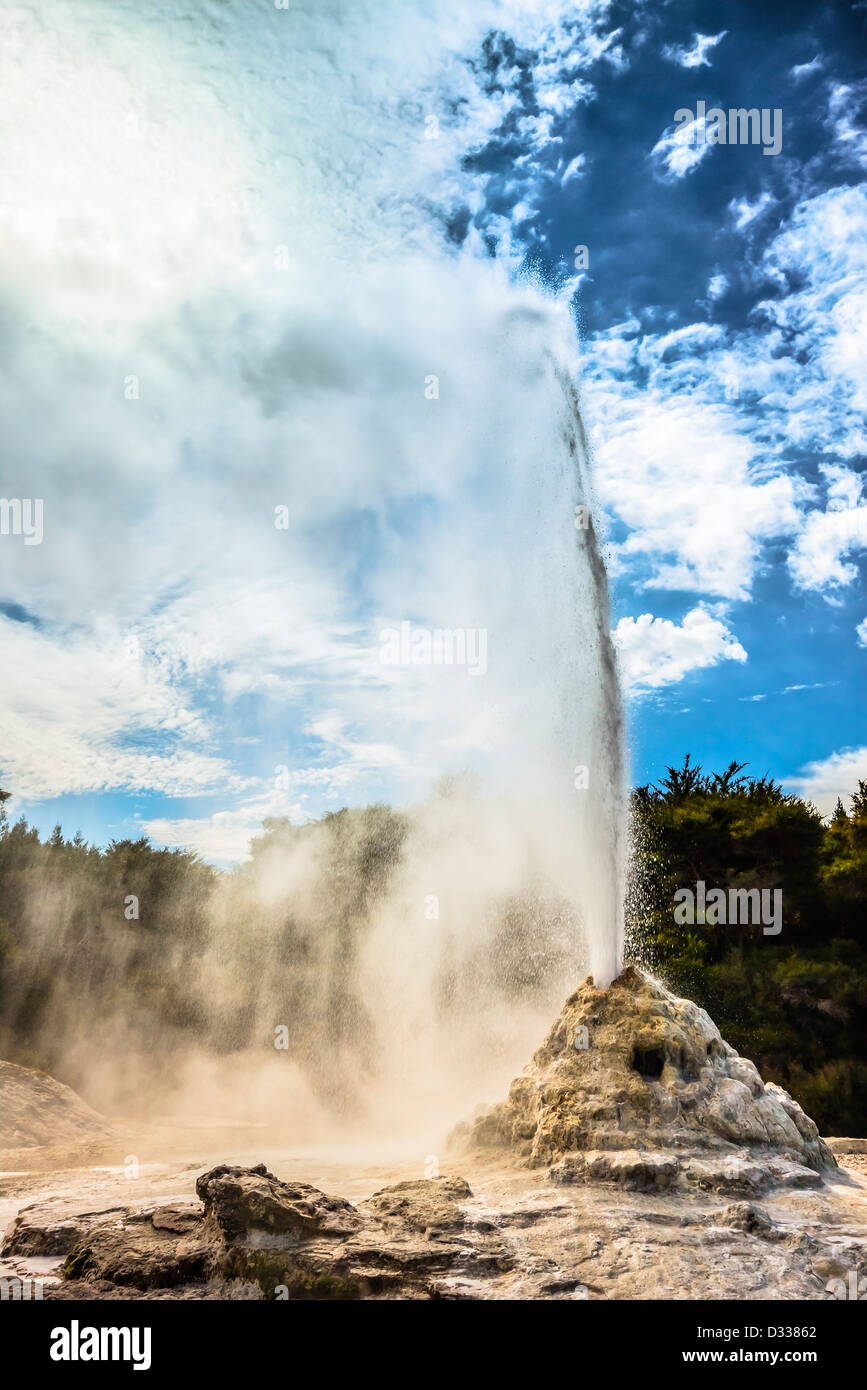 Lady Knox Geyser