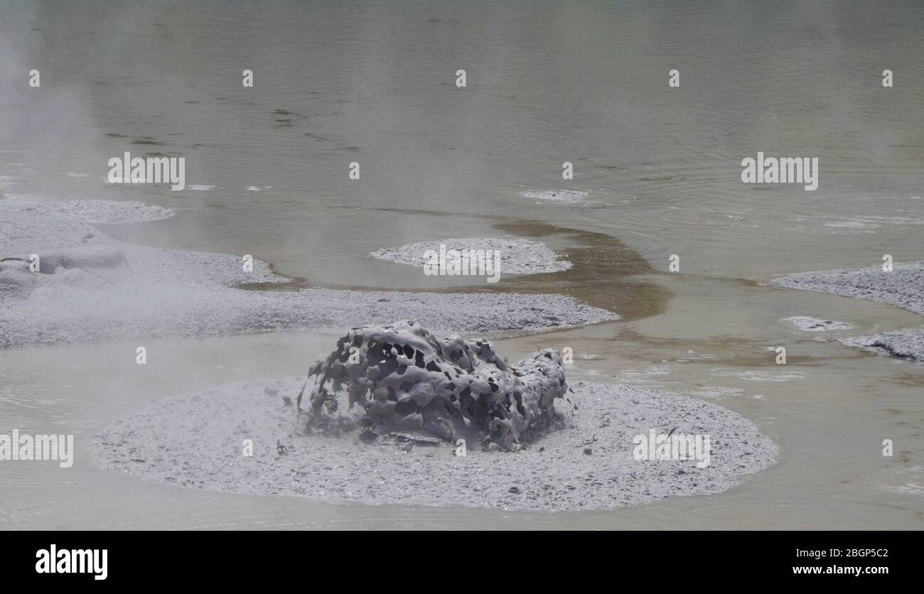 Wai-O-Tapu Mud Pool