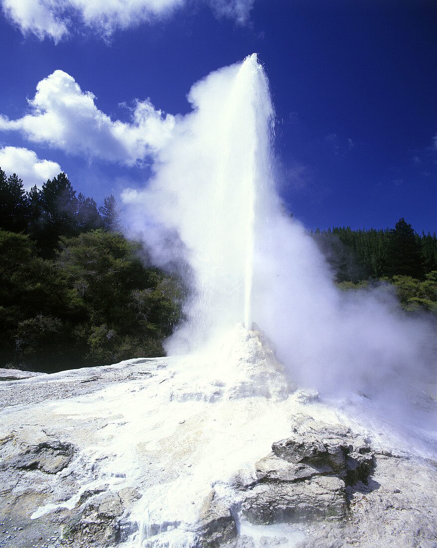 Lady Knox Geyser viewing area