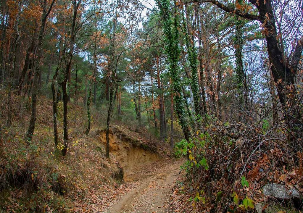 Valle de la Fuenfría
