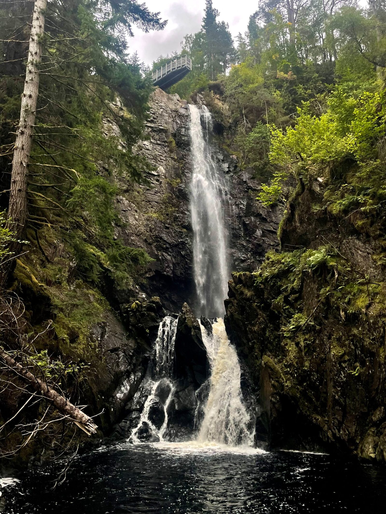 Plodda Falls