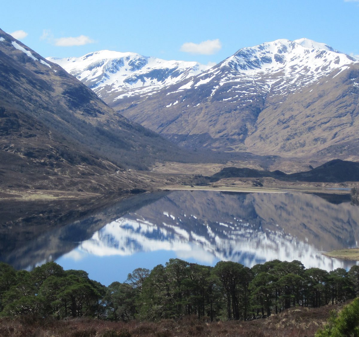 Loch Affric Shoreline