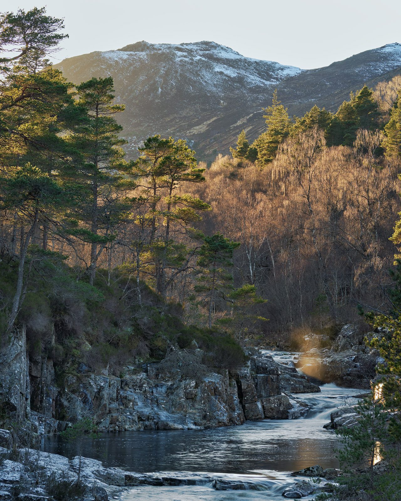 Glen Affric & Culloden Tour From Inverness Including Admissions