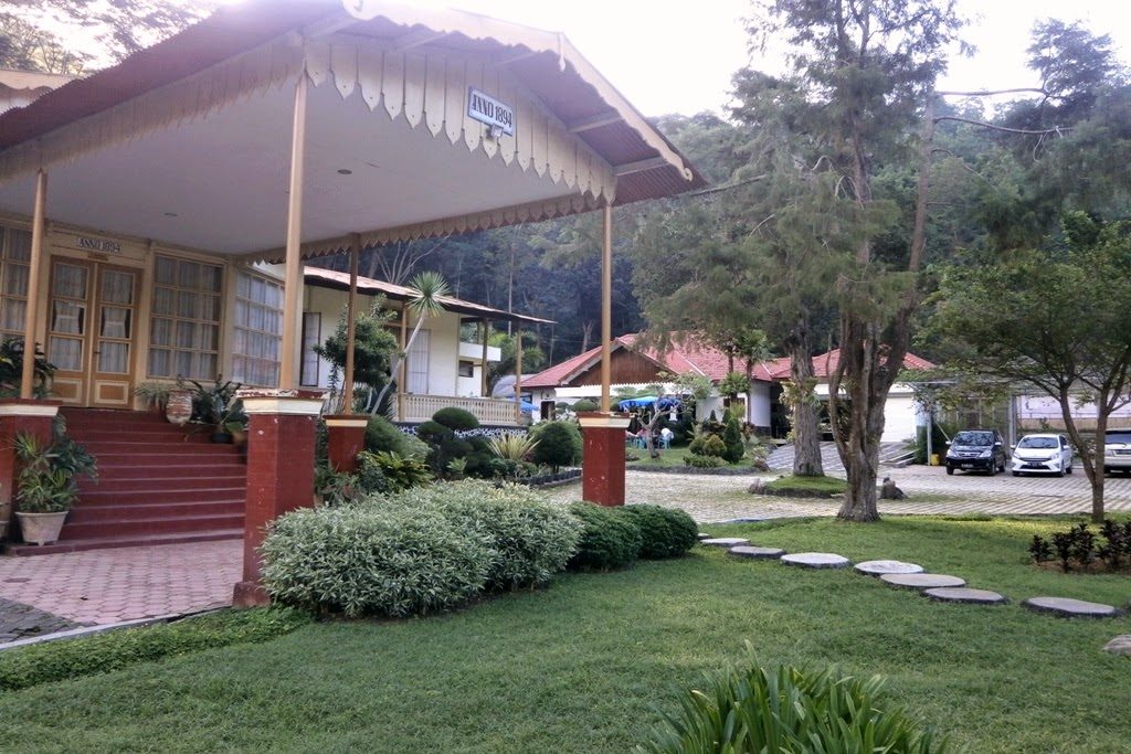 Catimor Homestay
