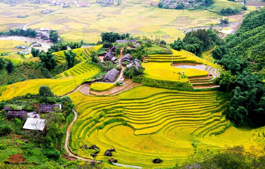 Muong Hoa Valley Viewpoint