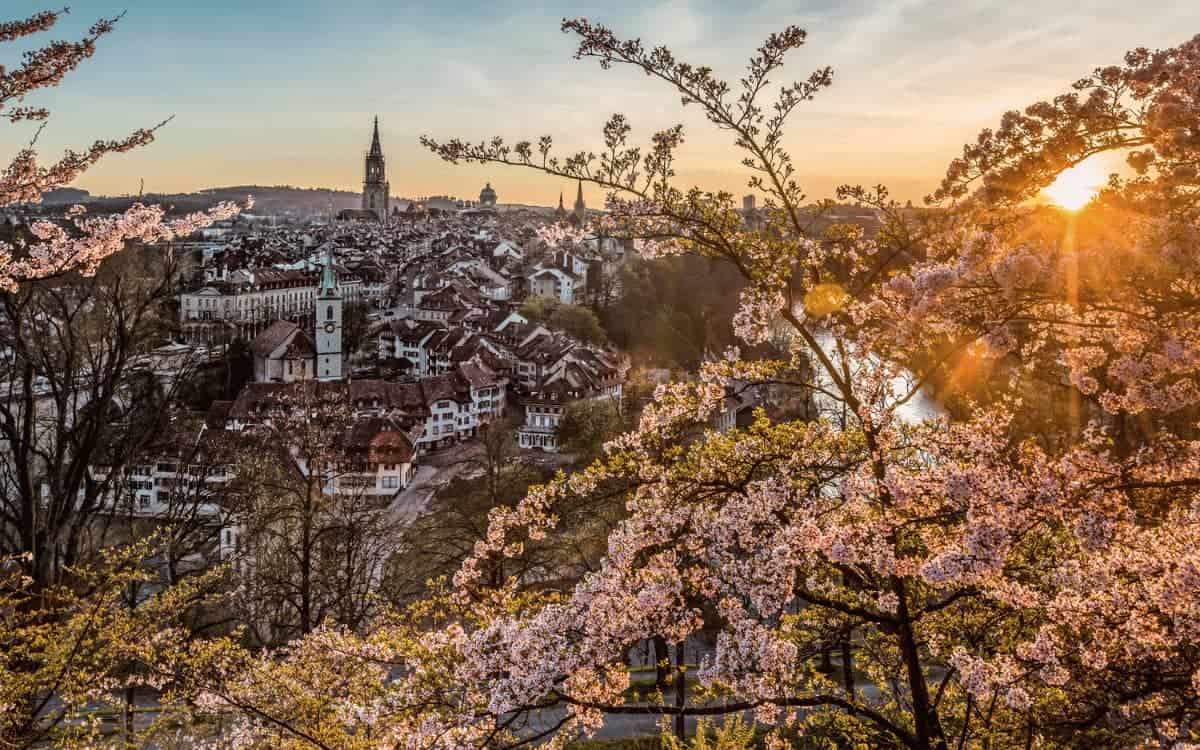 Rosengarten