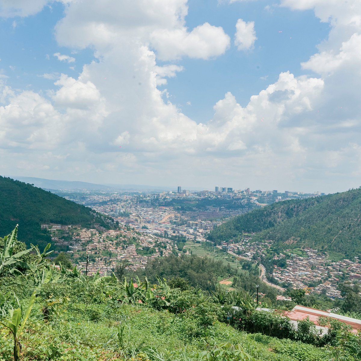 Urban Viewpoints