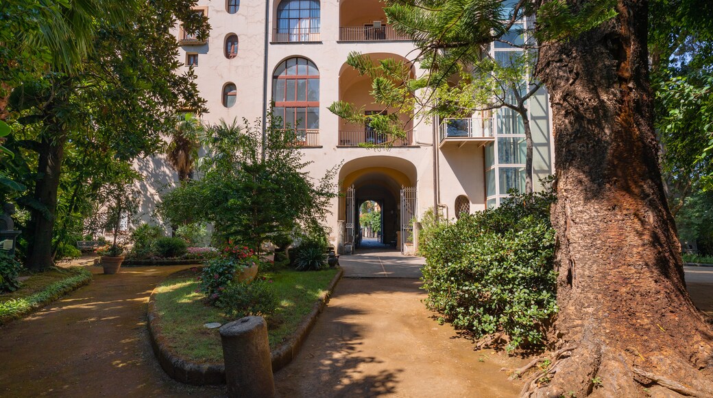 Correale di Terranova Museum Garden