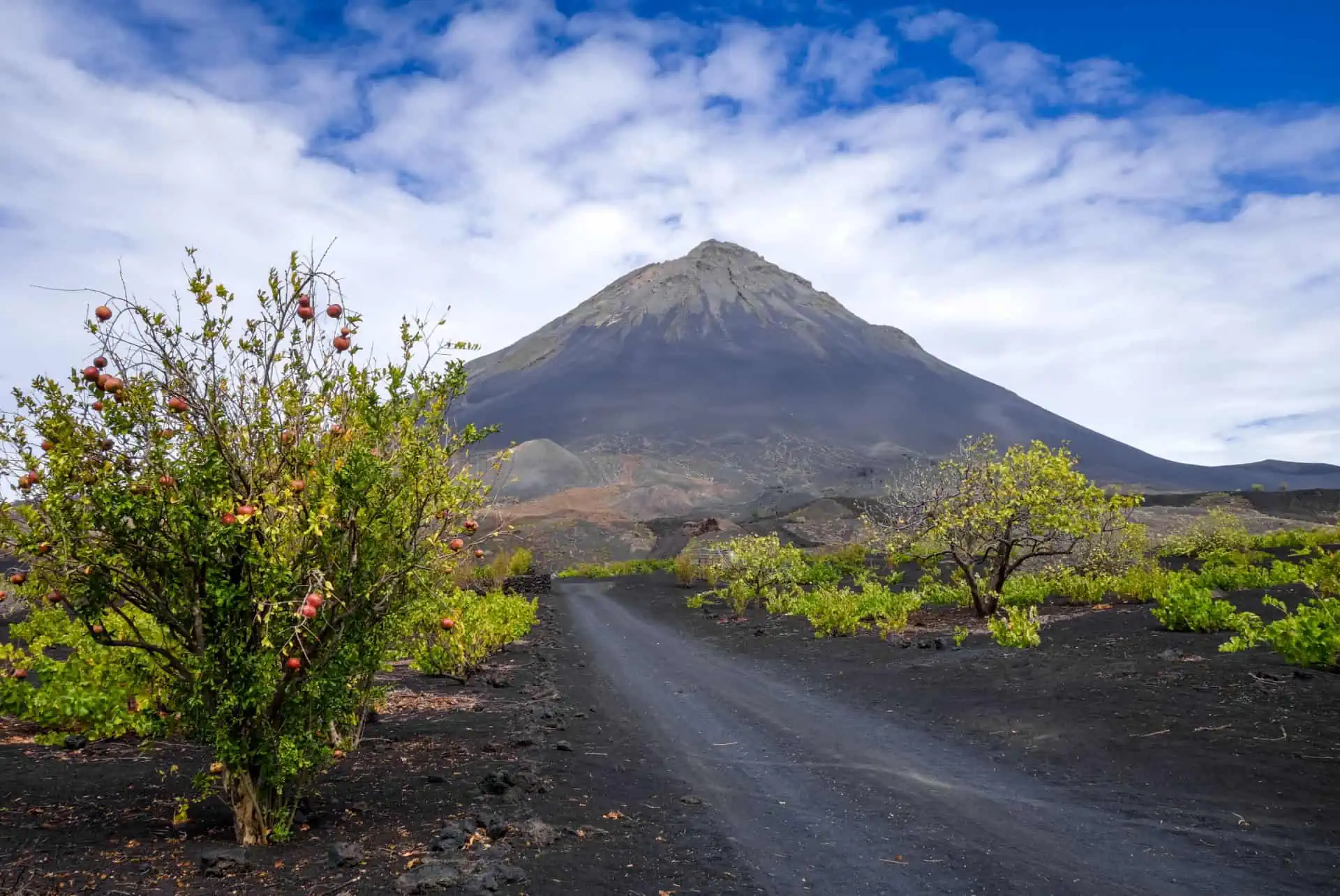 Pico do Fogo Summit