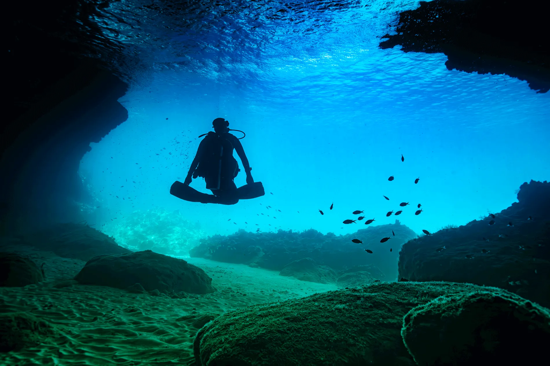 Okinawa Blue Cave Snorkeling With Private Guide+ Free Photos