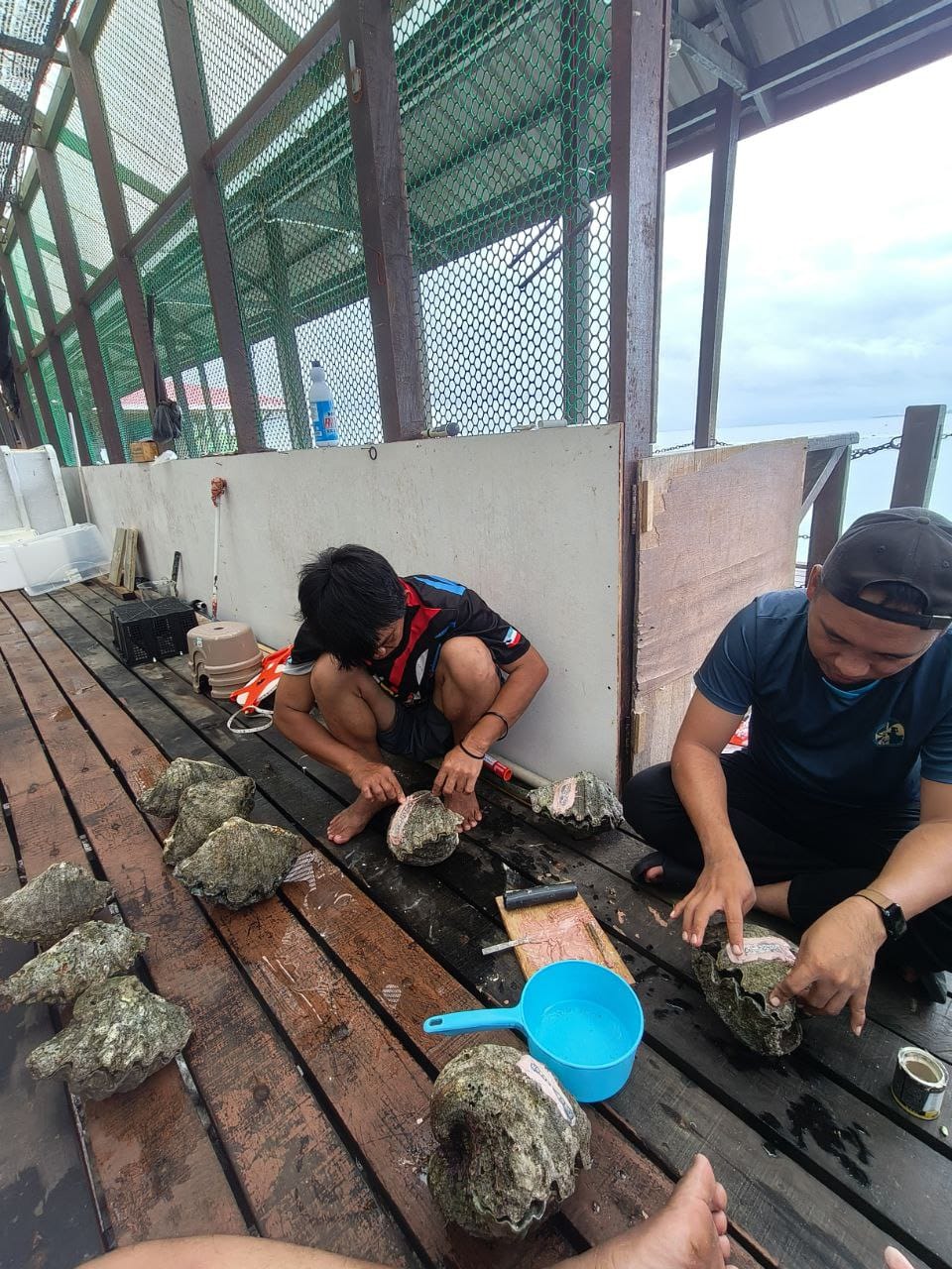 Giant Clam Hatchery
