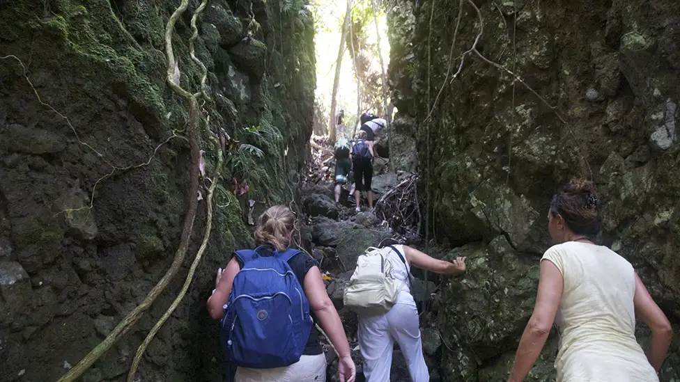Hiking Trail Archway