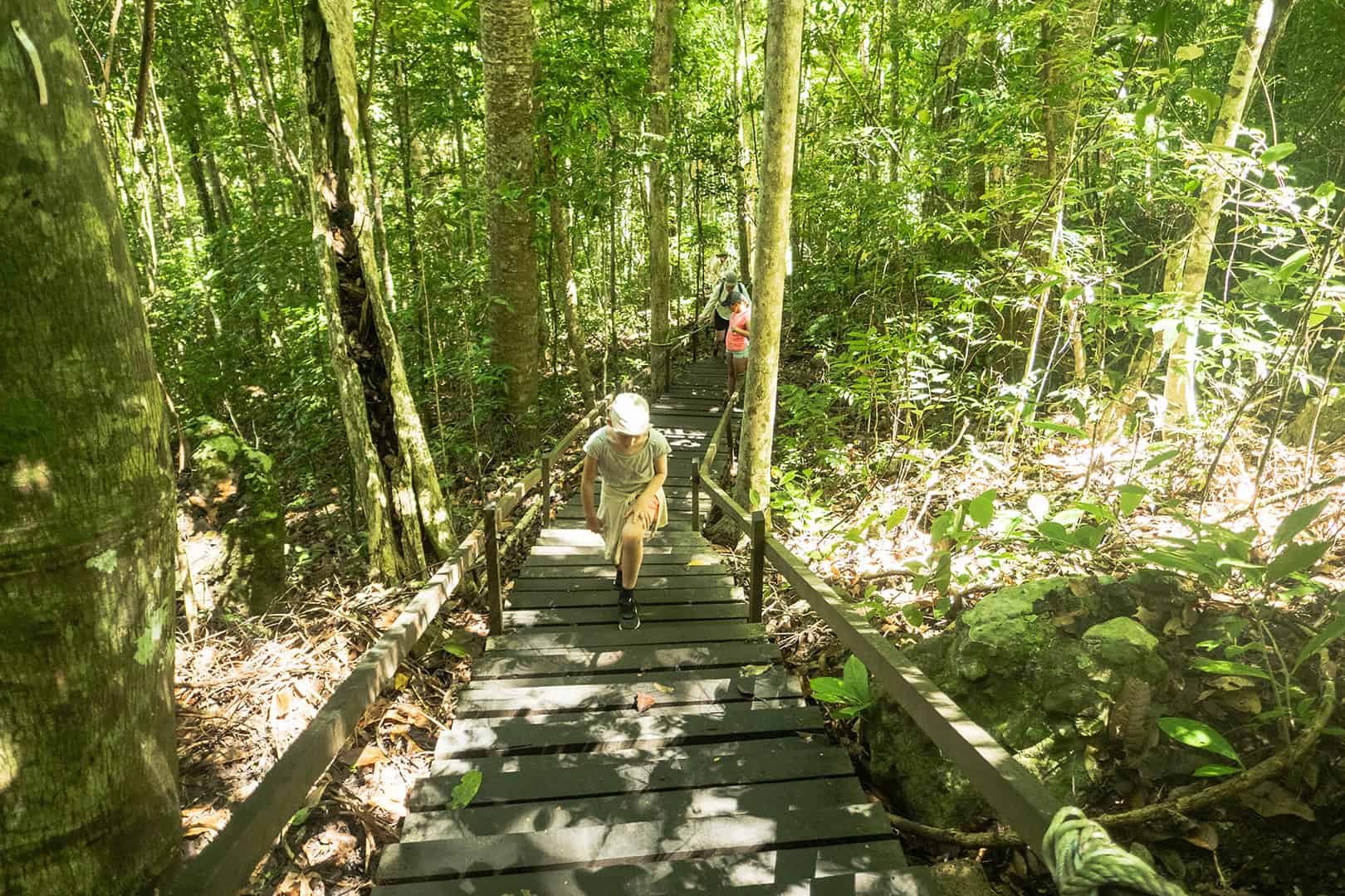 Bohey Dulang Trail Staircase