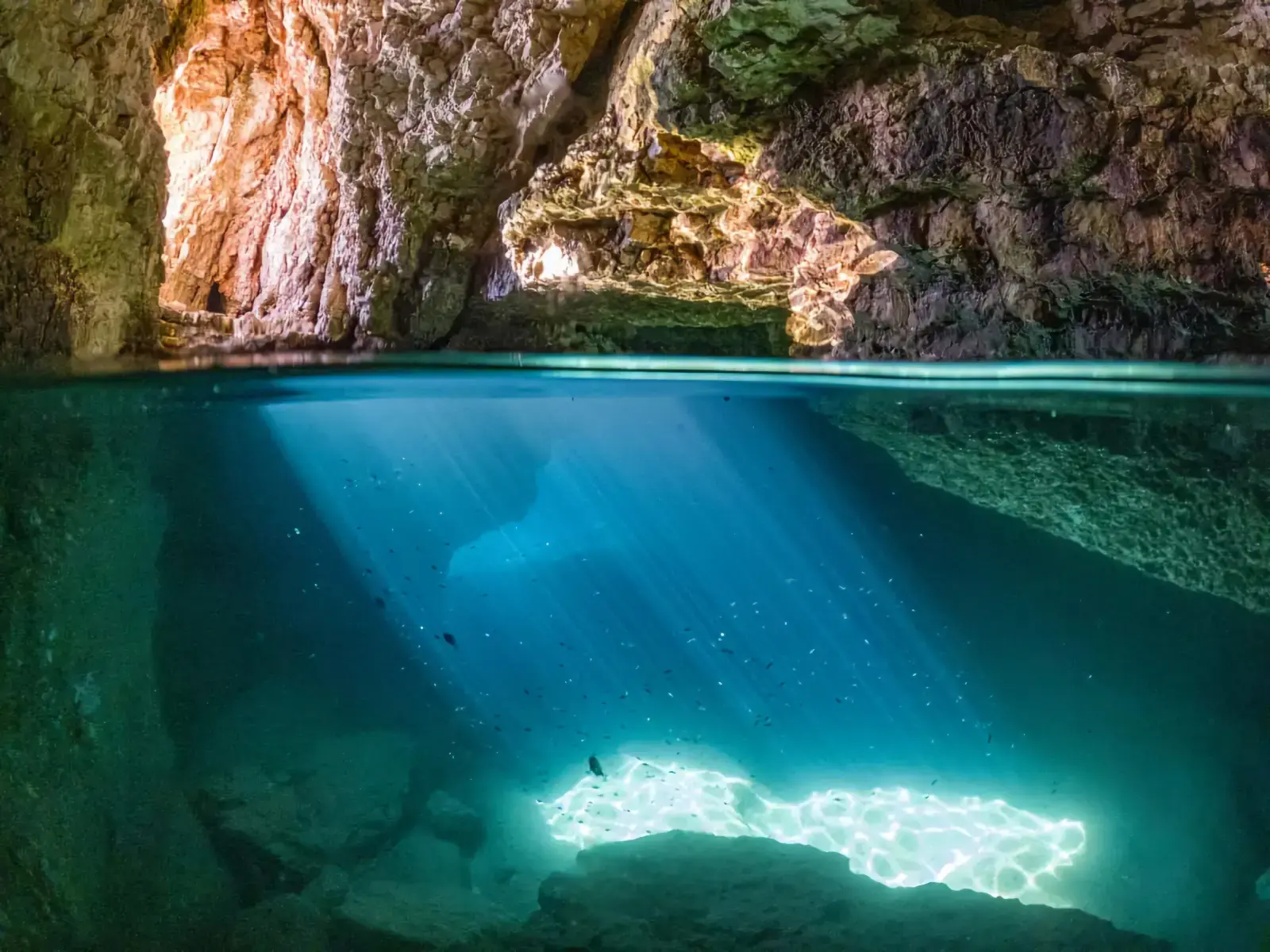 Dolphin Habitat
