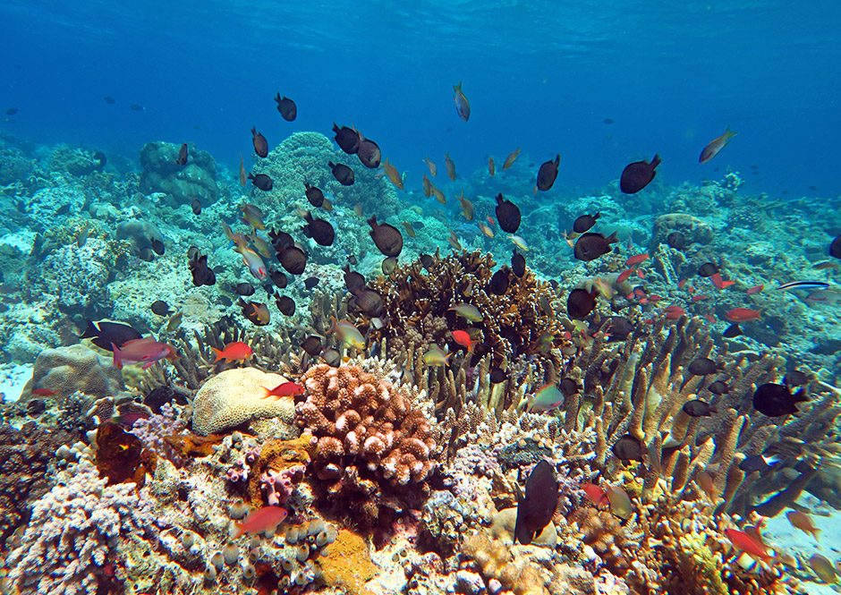 Zambratija Reef