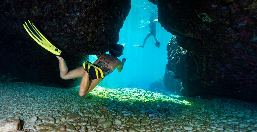 Snorkeling and Dolphin Watching Umag