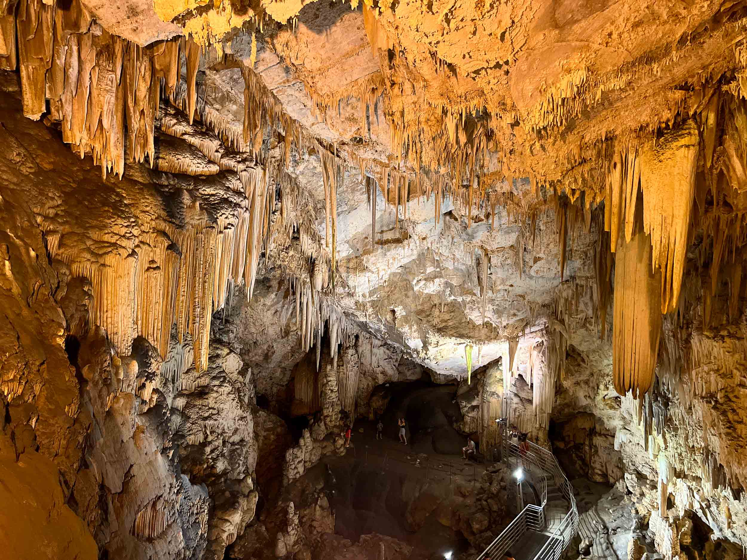 Lower Chambers