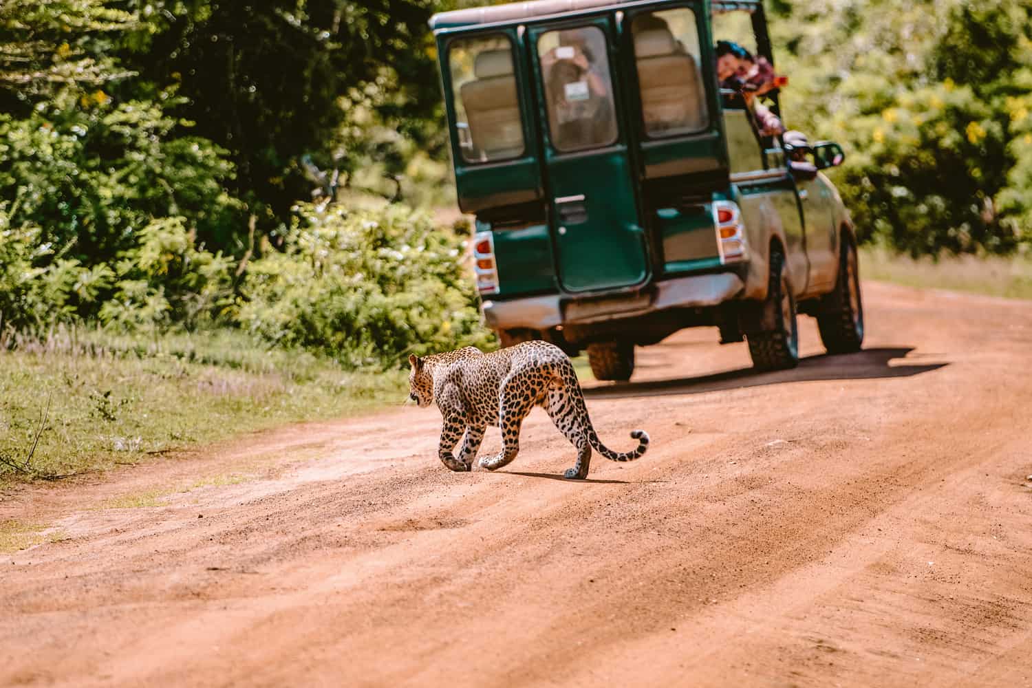 Morning Game Drive — Block 1