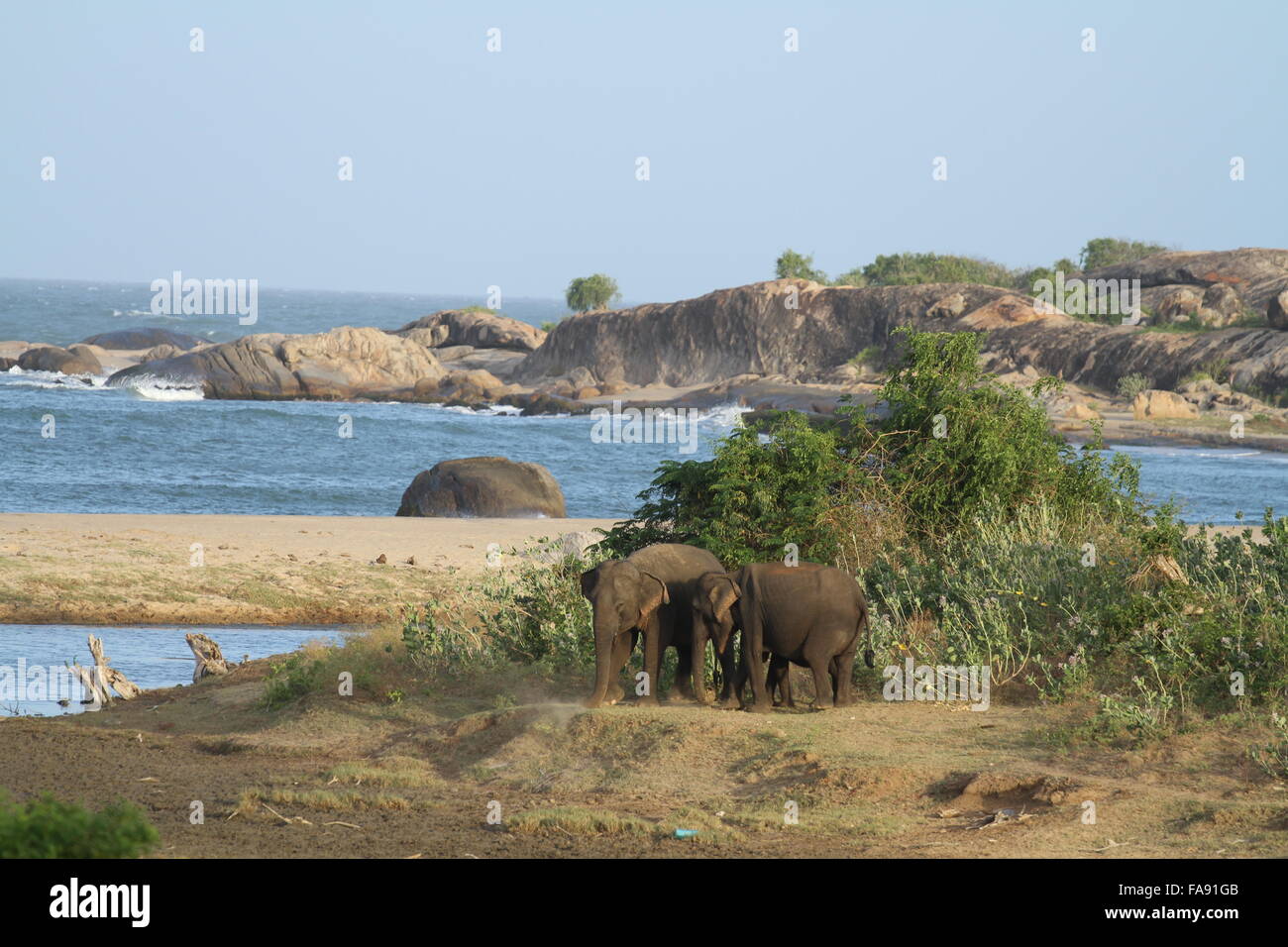 Patanangala Beach Stop