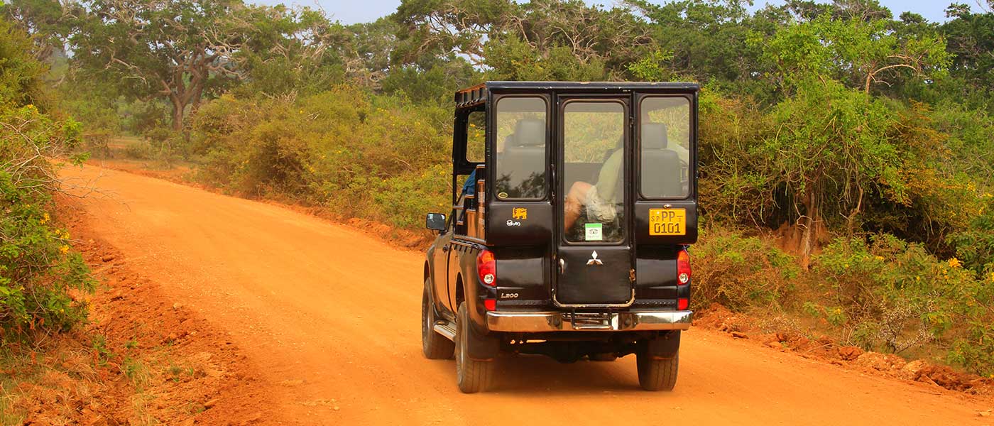 Your experience at Yala National Park Safari Tours & Tickets