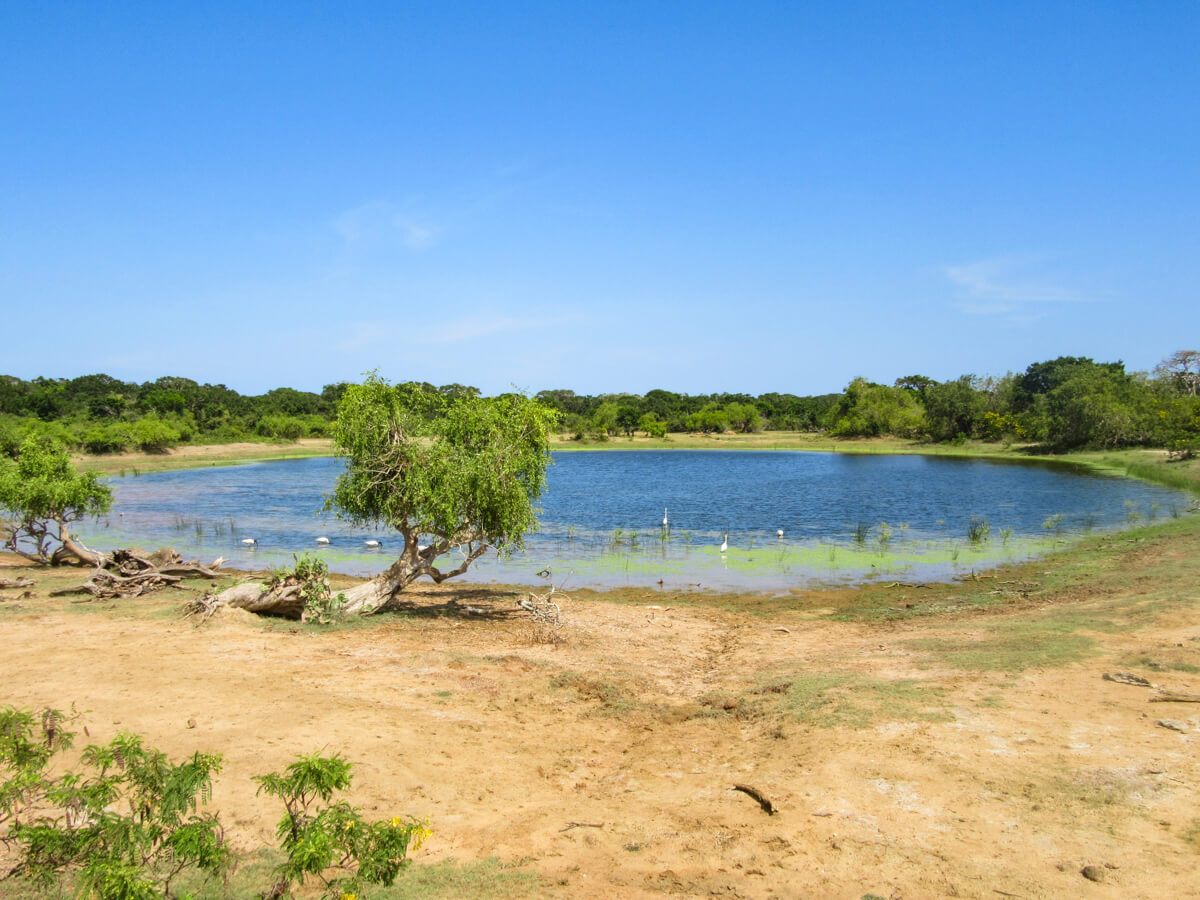Palatupana Lagoon