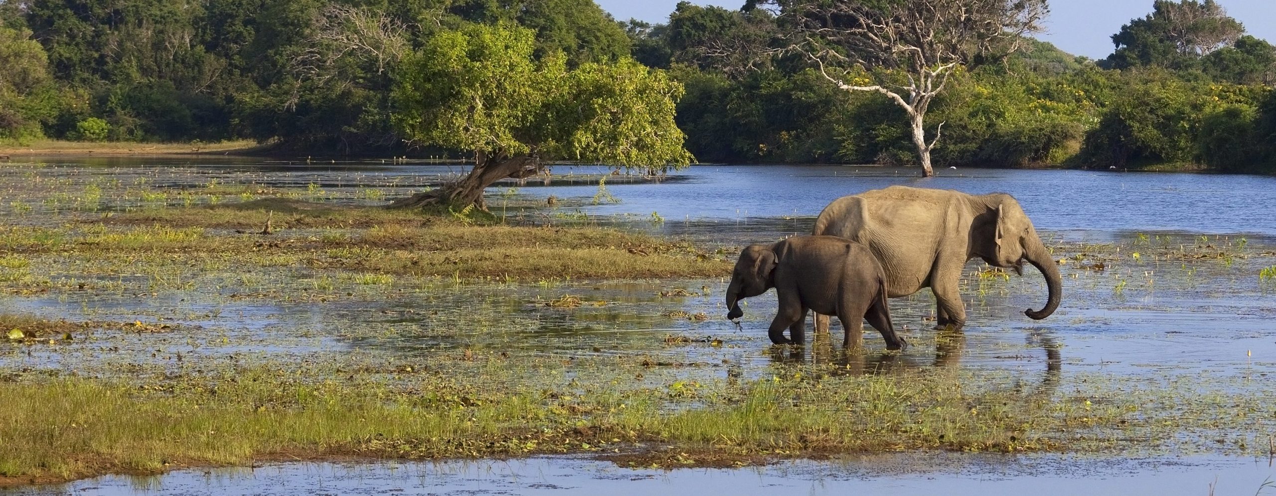 Block 1 Inland Waterholes
