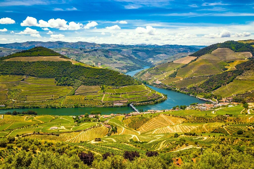 Casal de Loivos Viewpoint