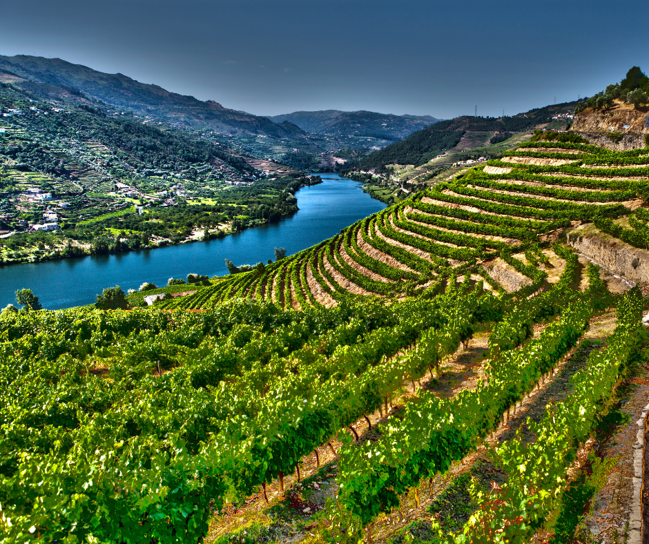 Douro River