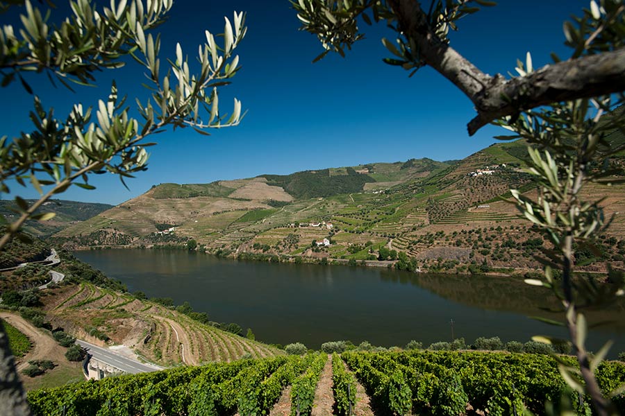 Miradouro de Quinta do Seixo