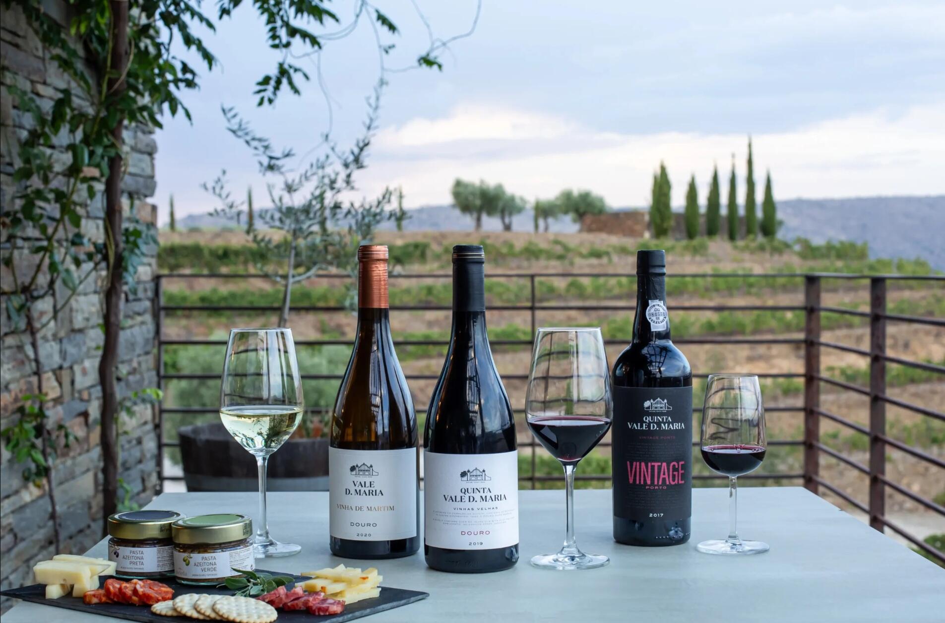 Douro Valley Wine Tours